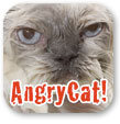ico-angry-cat